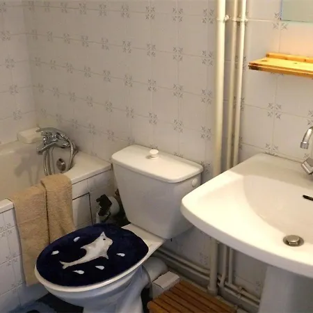 Apartament T2 Rdc Avec Jardinet Et Parking, Proche Thermes Et Commerces - Fr-1-313-152 Bagnères-de-Luchon